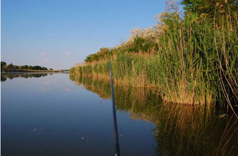 eko Vojvodina